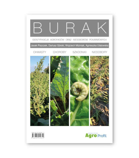 Burak - Identyfikacja agrofagów oraz niedoborów pokarmowych