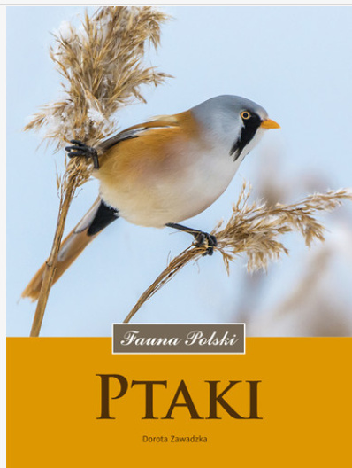 Ptaki. Fauna Polski