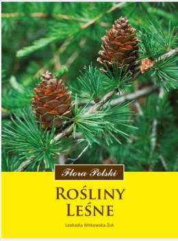 Rośliny leśne