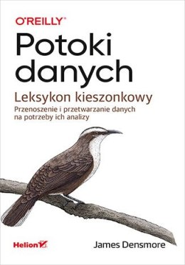 Potoki danych. Leksykon kieszonkowy. Przenoszenie i przetwarzanie danych na potrzeby ich analizy