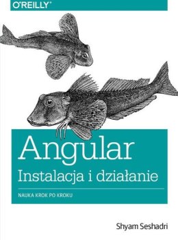 Angular instalacja i działanie nauka krok po kroku dla programistów