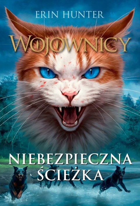 Niebezpieczna ścieżka. Wojownicy. Tom 5