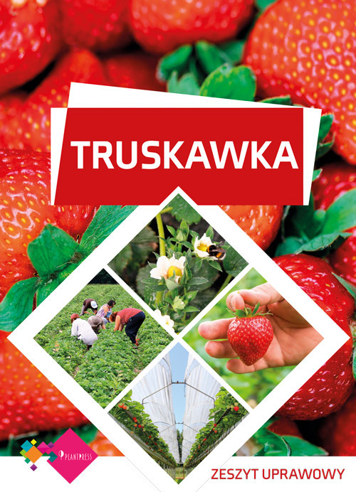 Truskawka – zeszyt uprawowy