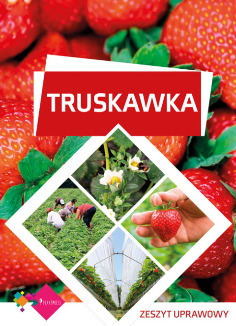 Truskawka – zeszyt uprawowy (wydanie II)