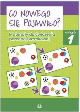 Co nowego się pojawiło Materiały do ćwiczenia percepcji wzrokowej Część 1