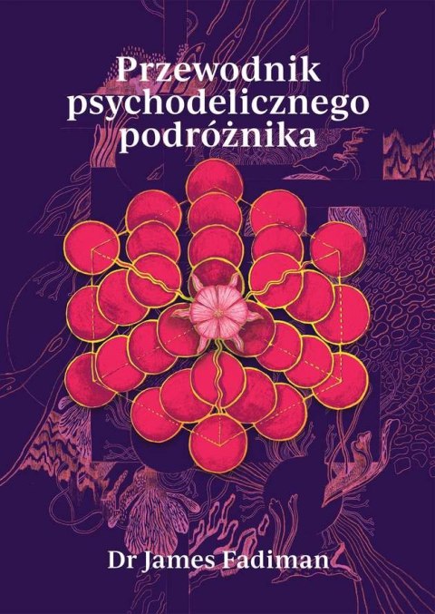 Przewodnik psychodelicznego podróżnika