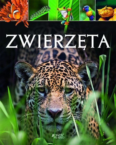 Zwierzęta