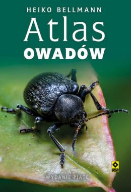 Atlas owadów w5