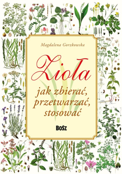 Zioła. Jak zbierać, przetwarzać, stosować