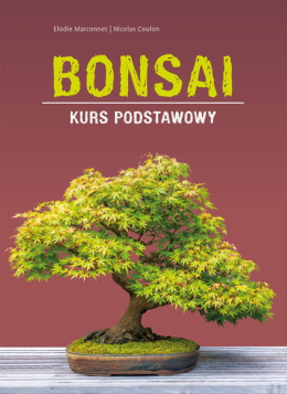 Bonsai Kurs podstawowy