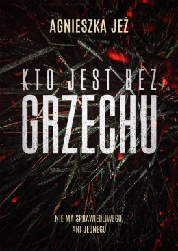 Kto jest bez grzechu