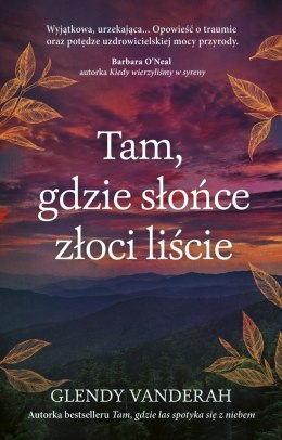 Tam, gdzie słońce złoci liście