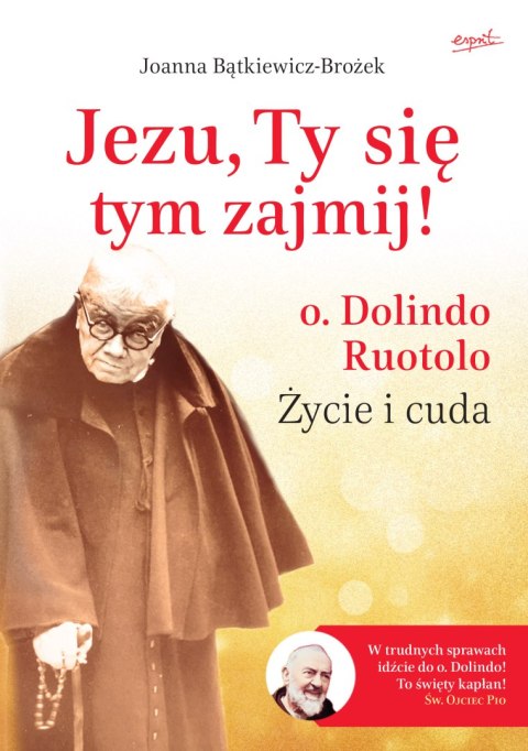 Jezu, Ty się tym zajmij! o. Dolindo Ruotolo. Życie i cuda wyd. 2023