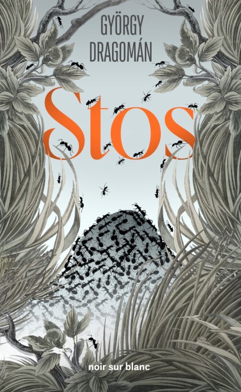 Stos