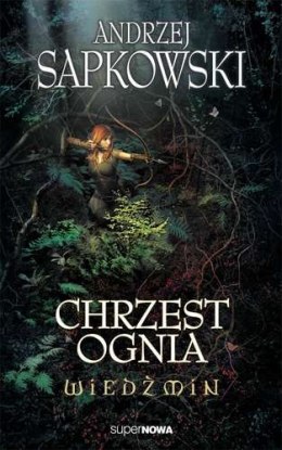 Chrzest ognia. Wiedźmin. Tom 5