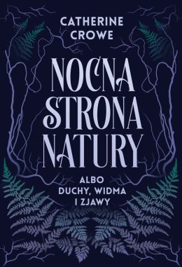 Nocna strona natury albo duchy, widma i zjawy