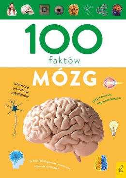 Mózg. 100 faktów