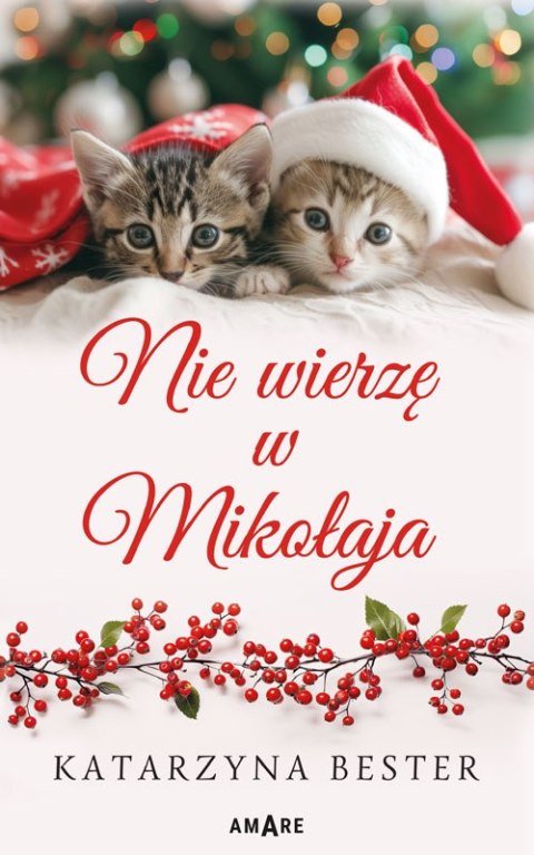 Nie wierzę w Mikołaja