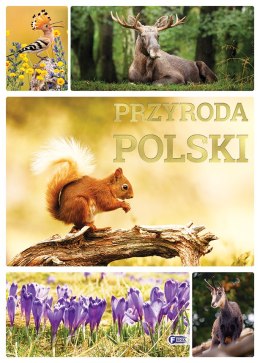 Przyroda Polski