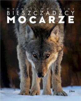 Bieszczadzcy mocarze wyd. 2