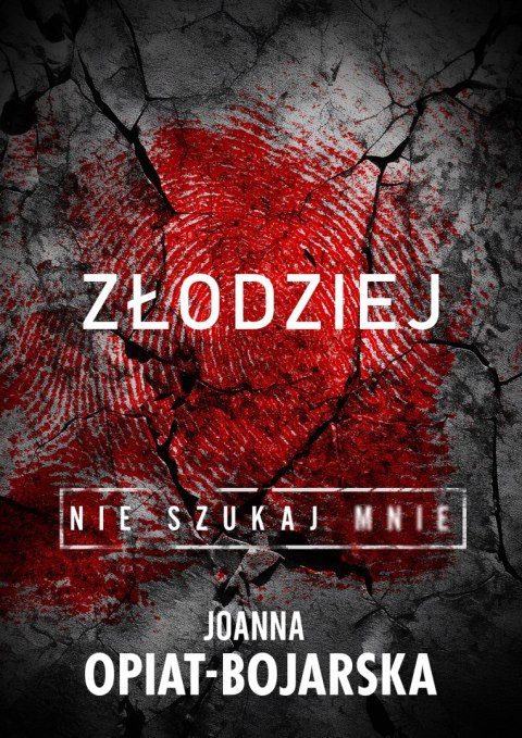 Złodziej. Nie szukaj mnie. Tom 1