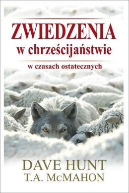 Zwiedzenia w chrześcijaństwie w czasach ostatecznych