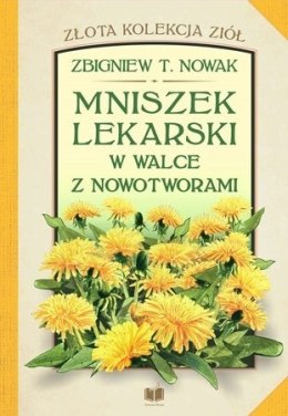 Mniszek lekarski w walce z nowotworami