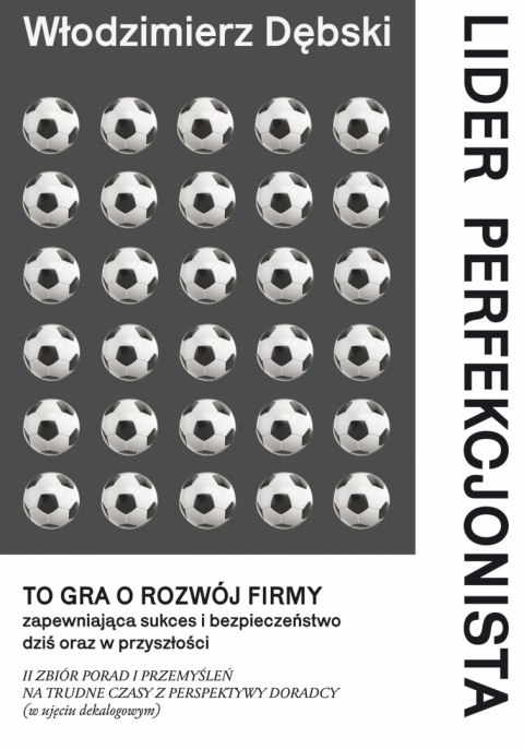 Lider perfekcjonista