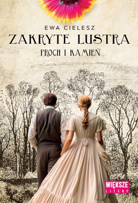 Proch i kamień. Zakryte lustra. Tom 3 (Duże Litery)