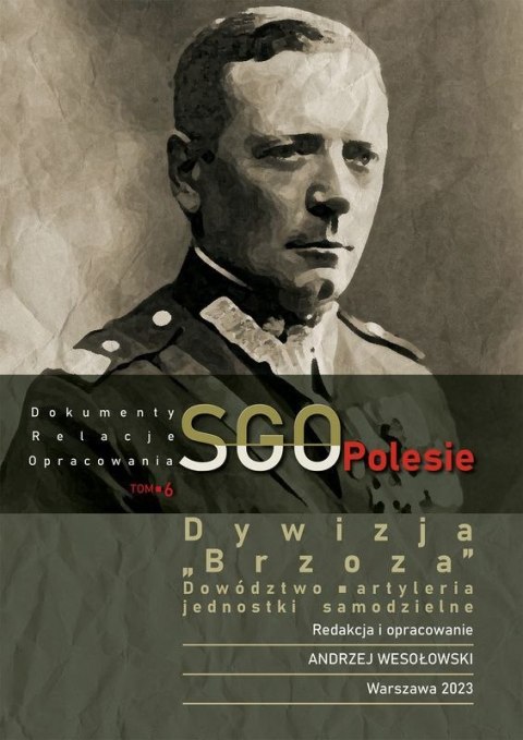Dywizja "Brzoza", dowództwo, artyleria. Jednostki samodzielne. SGO Polesie. Dokumenty, relacje, opracowania. Tom 6