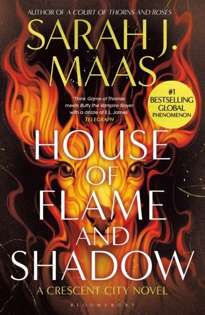 House of Flame and Shadow wer. angielska