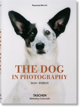The Dog in Photography 1839-Today wer. angielska