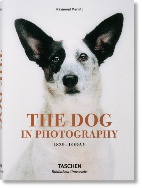 The Dog in Photography 1839-Today wer. angielska