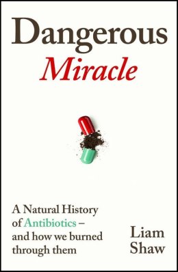 Dangerous Miracle wer. angielska