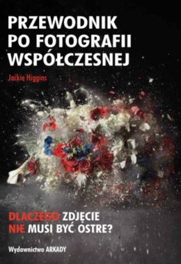 Przewodnik po fotografii wspłóczesnej