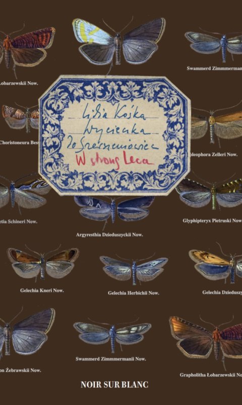 Wycieczka do Szerszeniowiec. W stronę Leca