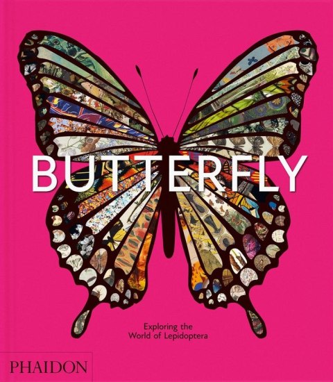 Butterfly. Exploring the World of Lepidoptera