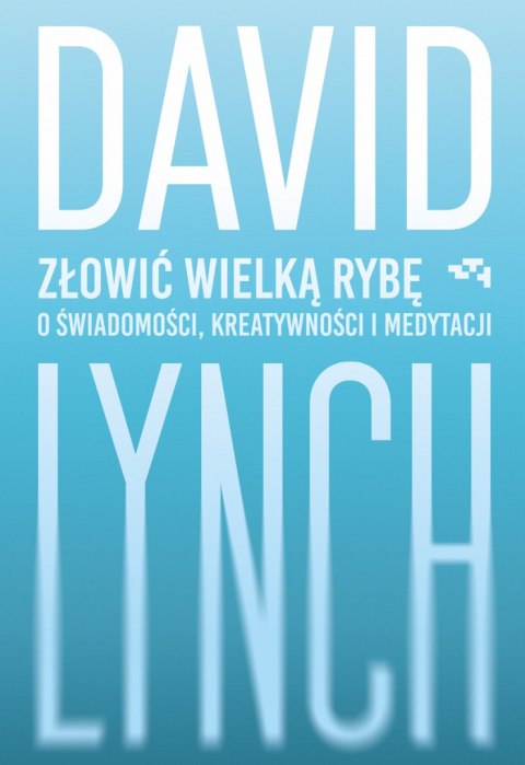 Złowić wielką rybę. O świadomości, kreatywności i medytacji
