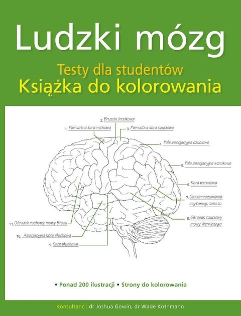Ludzki mózg. Testy dla studentów. Książka do kolorowania