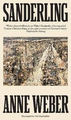 Sanderling wer. angielska