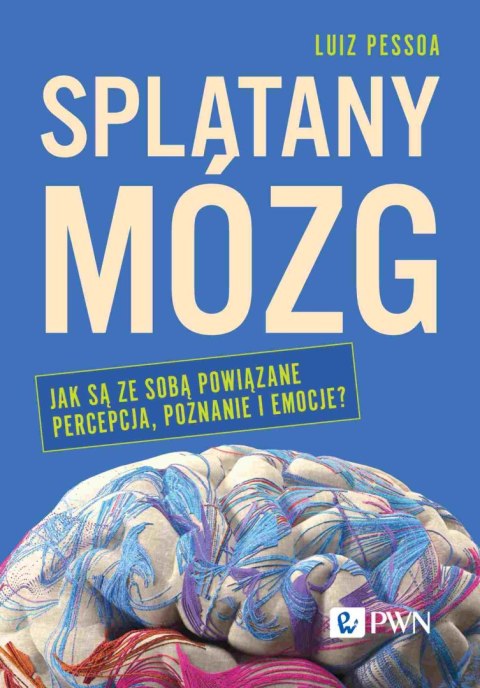 Splątany mózg. Jak są ze sobą powiązane percepcja, poznanie i emocje?