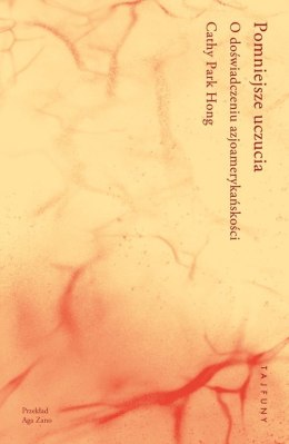 Pomniejsze uczucia. O doświadczeniu azjoamerykańskości