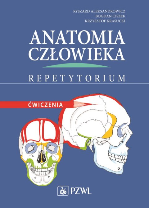 Anatomia człowieka repetytorium ćwiczenia