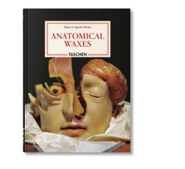 Anatomical Waxes wer. angielska