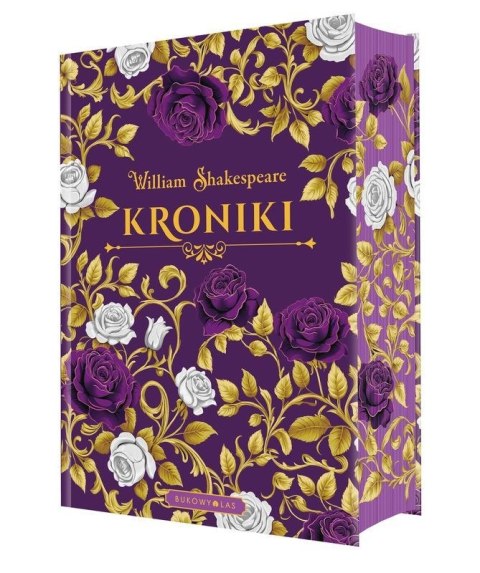 Kroniki (ilustrowane brzegi)