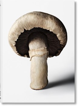 The Gourmand's Mushroom. A Collection of Stories & Recipes