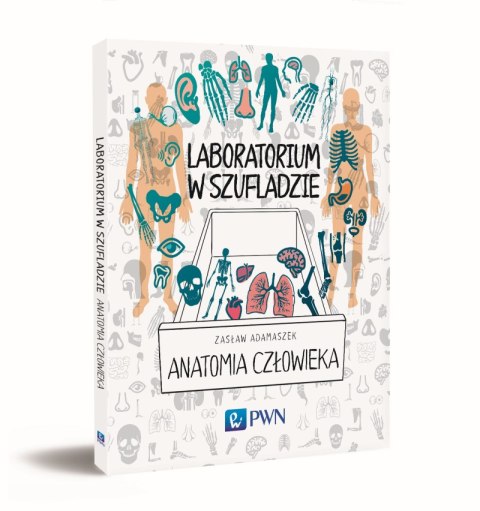 Anatomia człowieka laboratorium w szufladzie