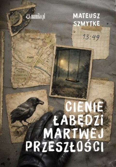 Cienie łabędzi i martwej przeszłości