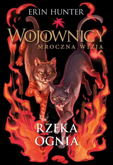 Rzeka ognia. Wojownicy. Mroczna wizja