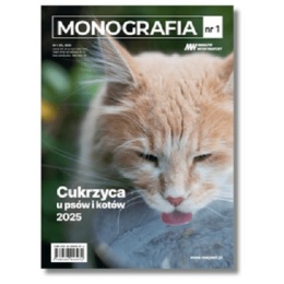 Monografia. Cukrzyca psów i kotów 2025